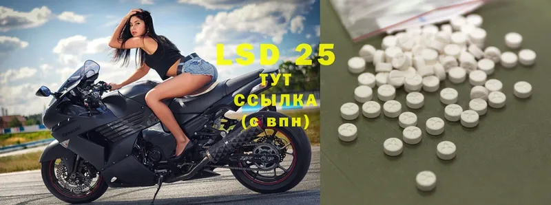 LSD-25 экстази ecstasy  МЕГА ТОР  Светлогорск 